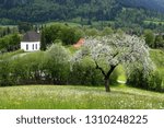 Blossoming tree with chapel in spring