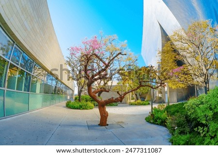 Blossoming tree in full bloom set against the iconic Walt Disney Concert Hall’s modern architecture.