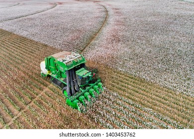 Blossoming White Cotton Field Harvested By A Combine Tractor With Bunker Wrapping Cotton Into Rolls On Flat Agricultural Cultivated Farm In NSW, Australia.