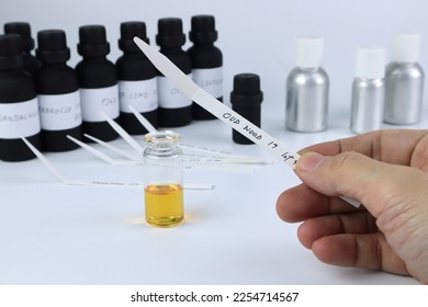 blotter paper is in a right hand with background essential oil and frangrance oil bottle for testing smell during blending process for choosing nice scent for scented candles and body perfume in lab