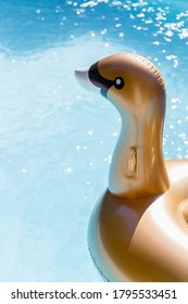 Blow Up Gold Swan In A Swimming Pool