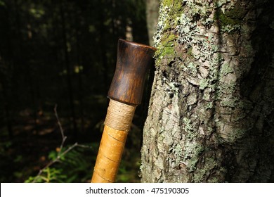 Blowgun At A Tree In Summer Forest