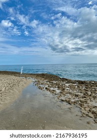 Blowhole At Beach On Singer Island