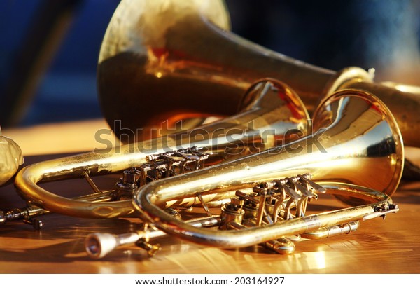 Blowing brass wind\
instrument on table