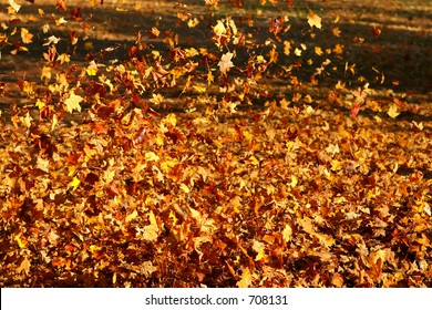 Blowing Fall Leaves