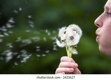 Little Girl Blowing White Dandelion Puffballs Stock Photo (Edit Now ...