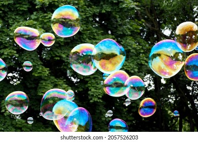 100,933 Bubble trees Images, Stock Photos & Vectors | Shutterstock