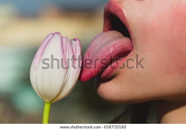 吹き出しのキス 官能的な舌がチューリップの花をなめる ぼかした背景にセクシーな女性の口と春の花 口の中での性 マスターベーション 膣または唇をなめる の写真素材 今すぐ編集