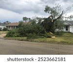 Blown down tree and limbs. The devastation left behind after the August 10th, 2020 Derecho. The City of Marion, two miles east of Cedar Rapids, Iowa