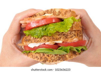 BLT Sandwich By Holding Hands For Eating