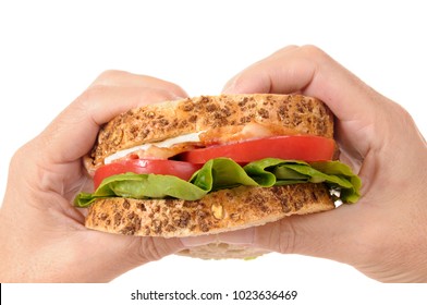 BLT Sandwich By Holding Hands For Eating