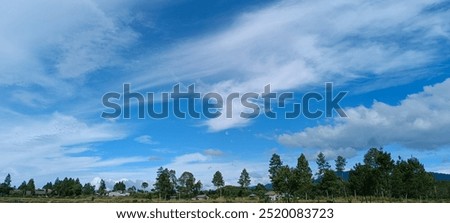 blu sky 
cloud
forest
natural
tree