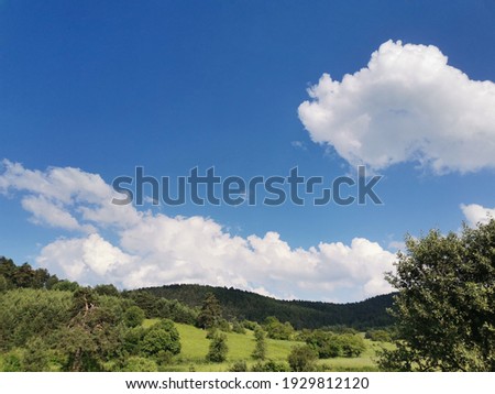 blu sky with cloud and grass