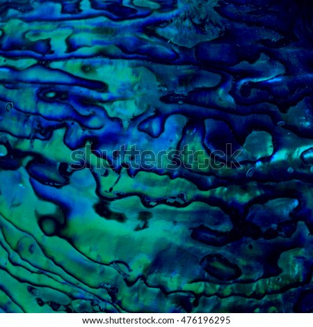 Blue Abalone Texture