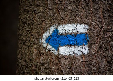 Blue Arrow, Hiking Trail Sign On A Tree