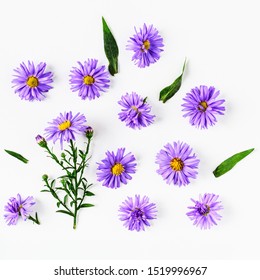 Blue Aster Flowers With Leaves Composition Set. Autumn Flower Arrangement On White Background. Top View, Flat Lay. Floral Design Element
