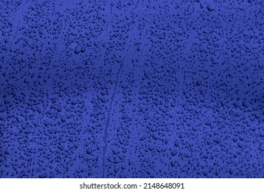 Blue Background With Clear Transparent  Waterdroplets.Rainy Season Drops Texture On Cyan  Metal Surface. 