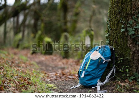 Blue backpack of a pilgrim, leaning against a tree in the middle of a path, with a hanging shell, symbol of the pilgrim, in a green forest. Camino de Santiago