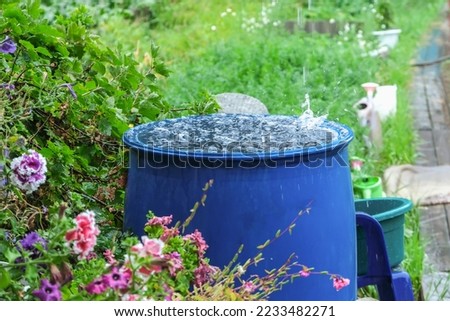 A blue barrel for collecting rainwater. Collecting rainwater in a plastic container. Collecting rainwater for watering the garden. Ecological collection of water for crop irrigation.