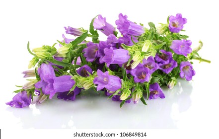 Blue Bell Flowers Isolated On White Stock Photo 106849814 | Shutterstock