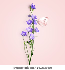 Blue Bellflowers Campanula Flowers And Butterfly Composition. Flower Arrangement On Pink Background. Top View, Flat Lay. Floral Design Element
