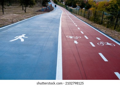 Blue Bike Path And Red Walking Path Located Side By Side In The Forest, Health Time, Different View