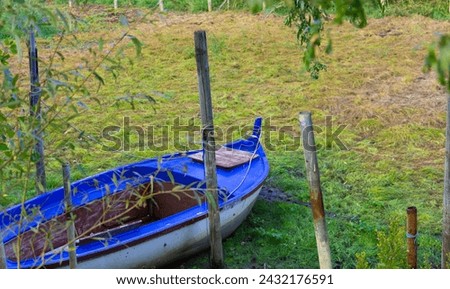 blue boat stranded on wet grass. green vegetation and old wooden trunks.