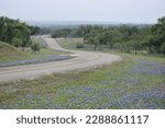 Blue Bonnets everywhere. This road is 1323 the Willow City Loop. It is between Johnson City, Texas and Willow City, Texas. The day was cloudy and misting off and on the day we made this drive.