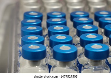 Blue Bottles Of Vaccine Dog And Cat Lots In The Tray.