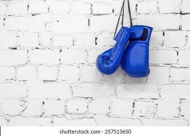 Blue Boxing Gloves