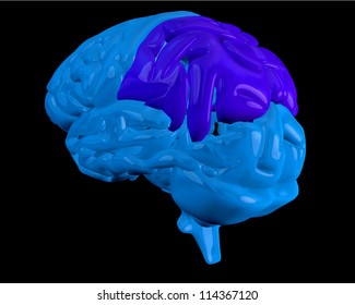 Blue brain with highlighted dark blue parietal lobe on black background
