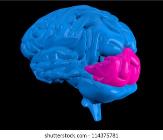 Blue brain with highlighted pink ocipital lobe on black background