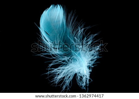 Similar – Image, Stock Photo as light as a feather