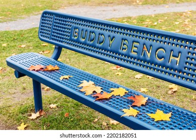 Blue Buddy Bench In The Public Park Near School In Fall