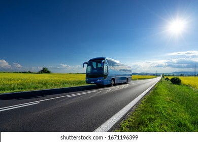 Blue Bus Driving On The Asphalt Road Between The Yellow Flowering Rapeseed Fields Under Radiant Sun In The Rural Landscape