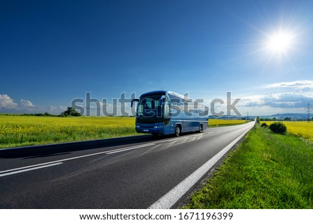 Blue bus driving on the asphalt road between the yellow flowering rapeseed fields under radiant sun in the rural landscape