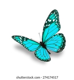 Beautiful Blue Butterfly Isolated On White Stock Photo (Edit Now) 252750655