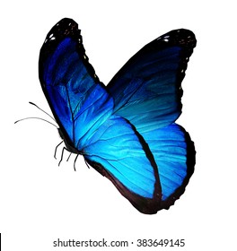 Stock Photo and Image Portfolio by suns07butterfly | Shutterstock