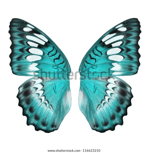 Aile De Papillon Bleu Isolee Sur Photo De Stock Modifier Maintenant