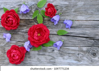 Blue Campanula Persicifolia And Red Rose Flowers On Wood Background. Campanula Is A Flowering Plant. . Flat Lay, Top View.Empty Space For Your Text.