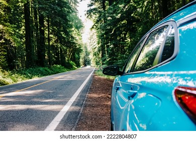 Blue Car Standing On The Roadside In The Redwood National Forest, Northern California