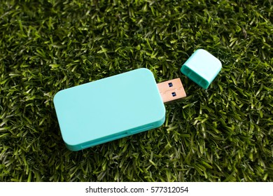 Blue Card Reader Opens Cover For Read Flash Drive Is On The Green Grass