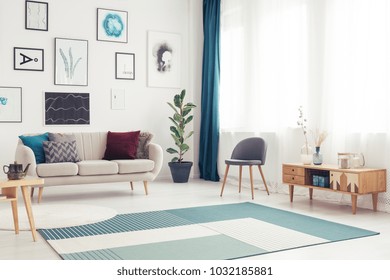 Blue carpet and wooden cupboard in living room interior with gallery of posters above beige couch