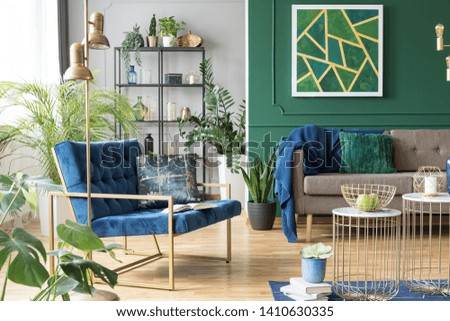 Similar – Image, Stock Photo green and blue plant leaves in the garden in the nature