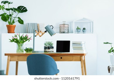 Blue Chair At Wooden Desk With Books, Laptop And Lamp In White Interior With Study Area With Flowers. Real Photo