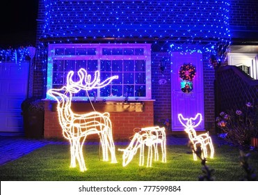 Blue Christmas Lights On House Facade And Lighted Christmas Deer In The Front Yard
