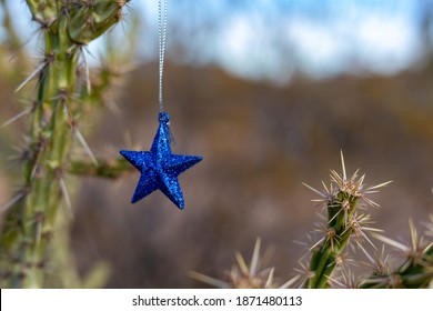 Blue Christmas Star Hanging On A Cholla Cactus In The Desert