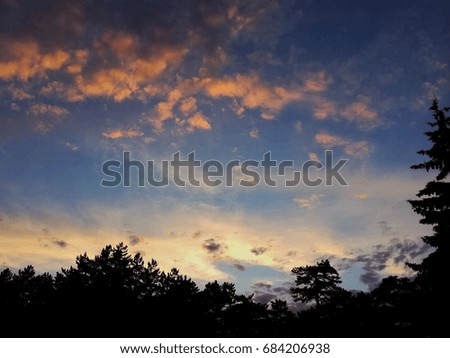 Blue cloudy sky above a pine tree forest bathed with the light and rays of a setting sun.
Captured at Tara mountain, Serbia. 