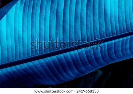 blue colorful abstract futuristic background with bright lines and rows for design and concetp , natural leaf texture in various colors