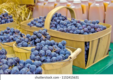 blue Concord grapes in wooden baskets at the market